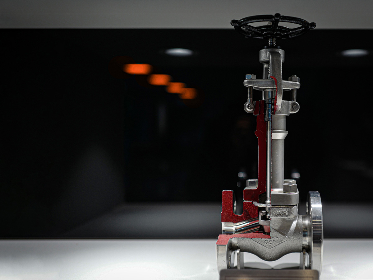 Globe