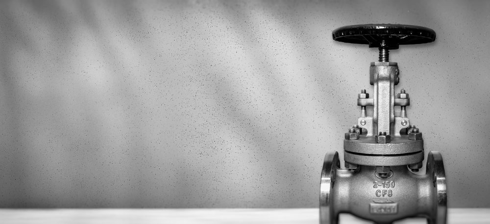 THT Globe Valves